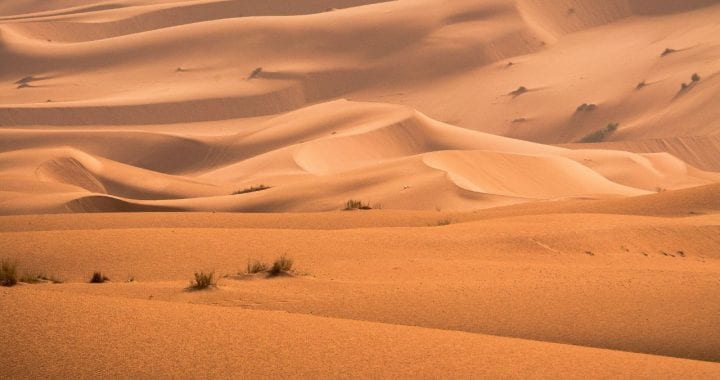 A photo of sand dunes in the desert
